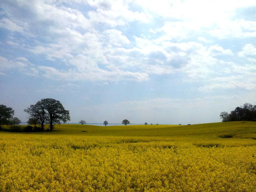 Haus Seeblick